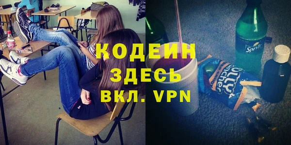 прущие грибы Няндома