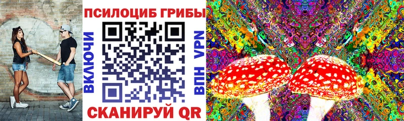 Галлюциногенные грибы Magic Shrooms  Приморско-Ахтарск 