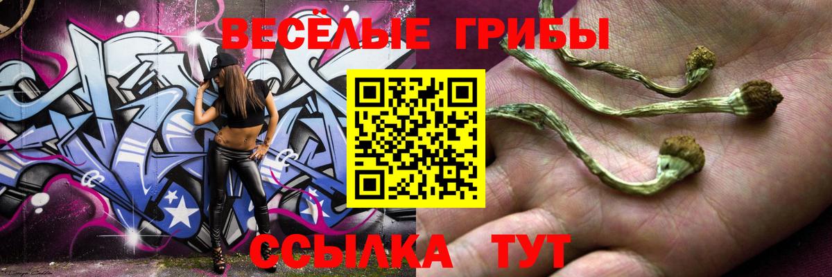 где купить наркоту  Псилоцибиновые грибы Psilocybe  Приморско-Ахтарск  Вход с VPN  Галлюциногенные грибы Psilocybine cubensis 
